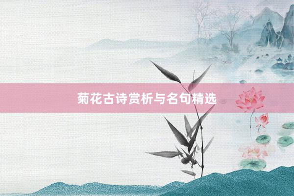菊花古诗赏析与名句精选