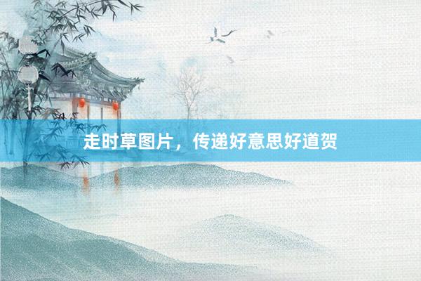 走时草图片，传递好意思好道贺