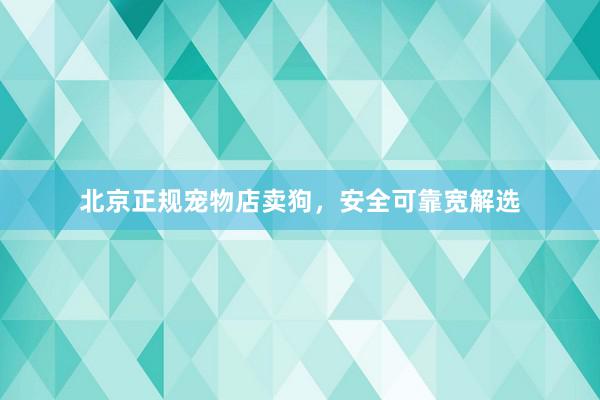 北京正规宠物店卖狗,安全可靠宽解选