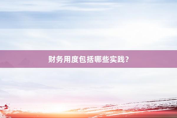 财务用度包括哪些实践？
